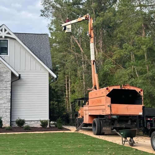 WhatsApp Image 2026-05-22 at 11.06.01 AM